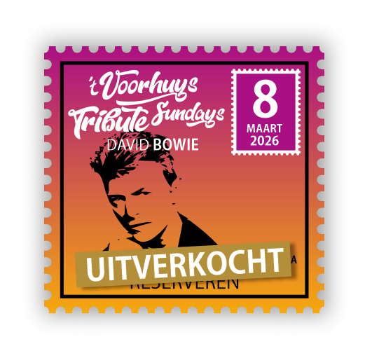 tribute-bowie-uitverkocht
