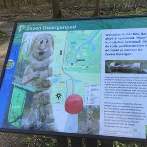 kuinderbos-dwergenpad
