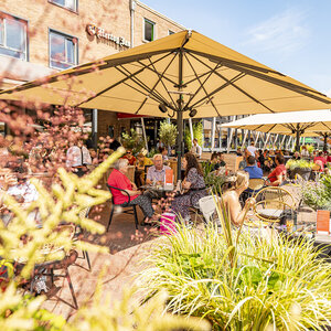 Terras