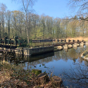 Waterloopbos